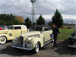 Two yellow convertibles